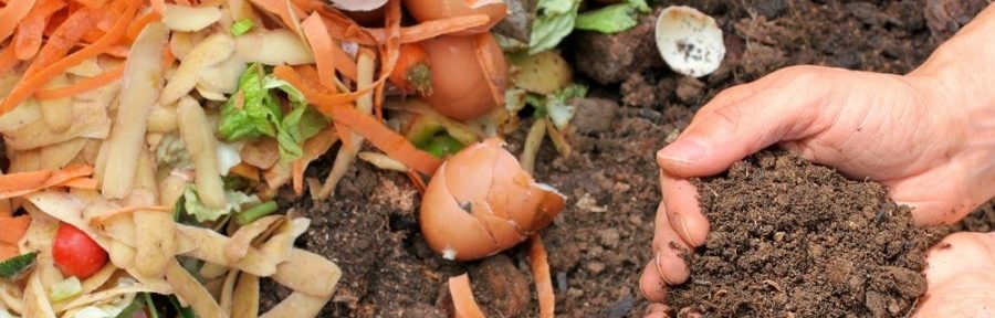 Kompostas namų sąlygomis: kompostinės parengimo žingsniai
